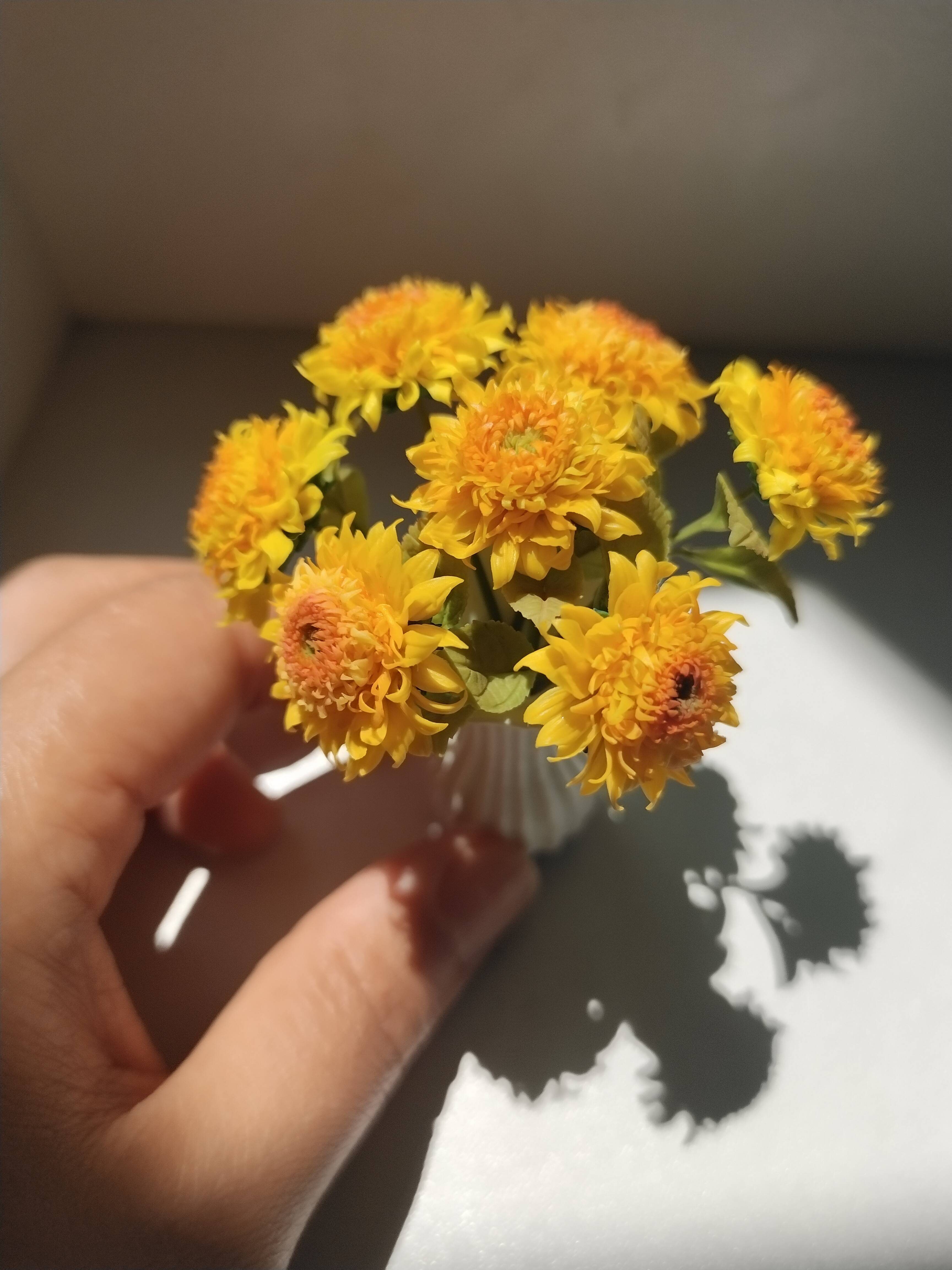 Miniature Teddy Sunflowers 